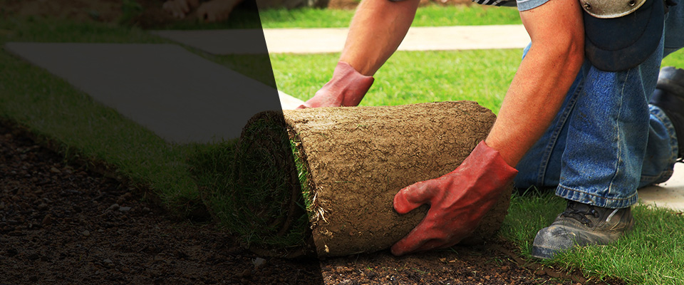 Southborough Landscapers
